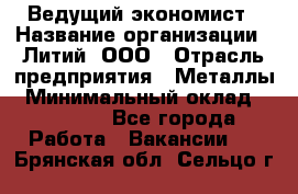 Ведущий экономист › Название организации ­ Литий, ООО › Отрасль предприятия ­ Металлы › Минимальный оклад ­ 24 000 - Все города Работа » Вакансии   . Брянская обл.,Сельцо г.